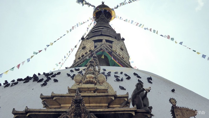 Nepal dag 2: bezoek aan de drie belangrijkste tempels van Kathmandu